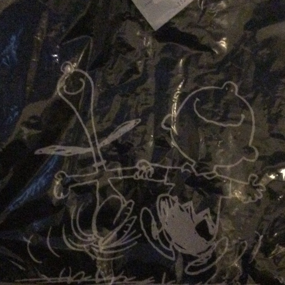 Charlie Brown and Snoopy Hanna Andersson tee